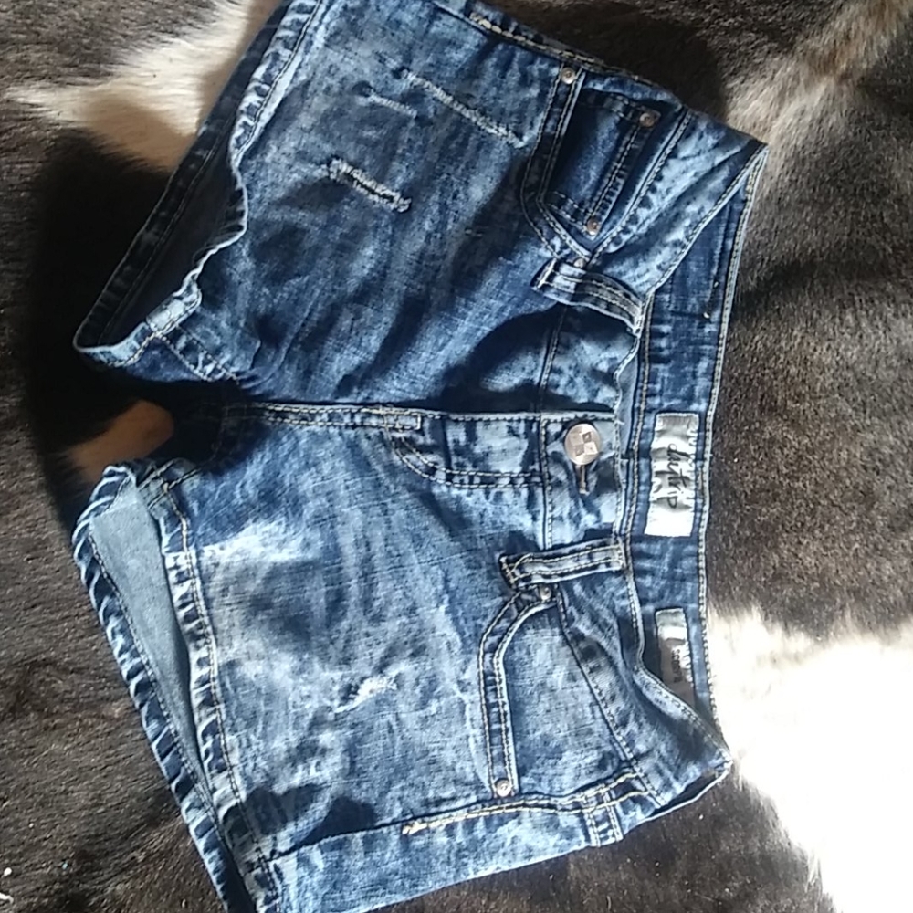 Day Trip shorts